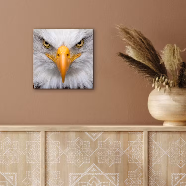 Aluminium schilderij - Amerikaans - Zeearend - Portret - Geel — 5
