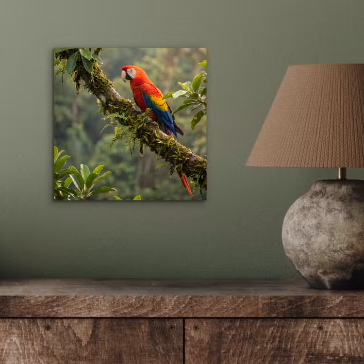 Aluminium schilderij - Ara - Jungle - Rood — 3