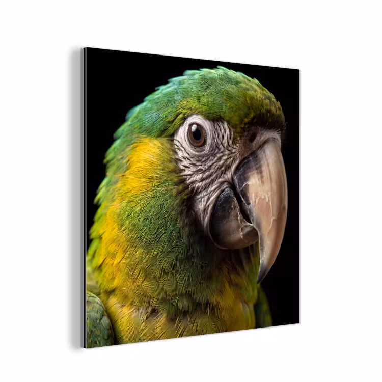 Aluminium schilderij - Ara - Portret - Groen — 1