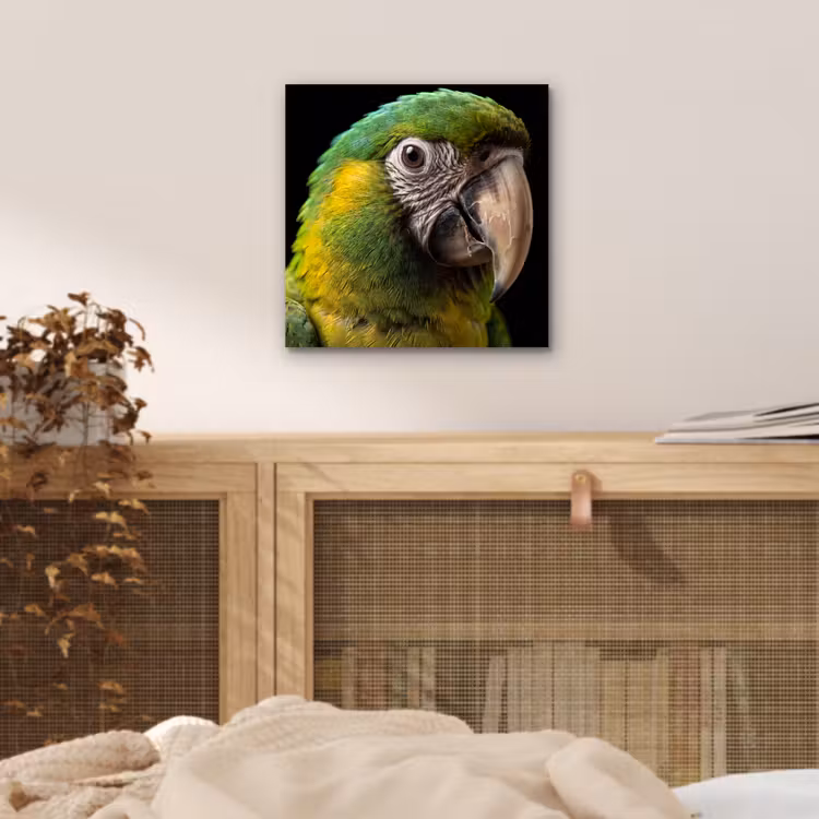 Aluminium schilderij - Ara - Portret - Groen — 4