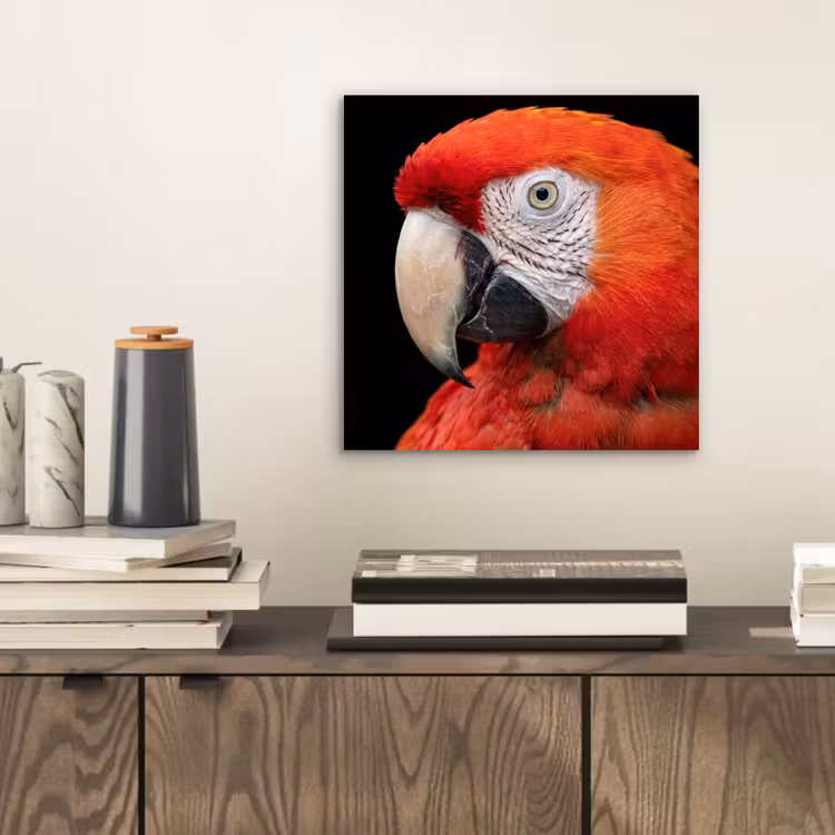 Aluminium schilderij - Ara - Portret - Rood — 2