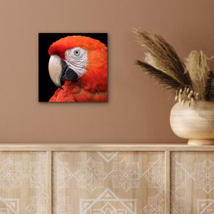 Aluminium schilderij - Ara - Portret - Rood — 5