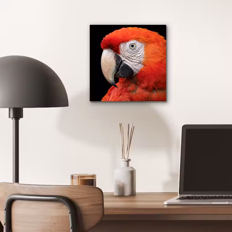 Aluminium schilderij - Ara - Portret - Rood — 6