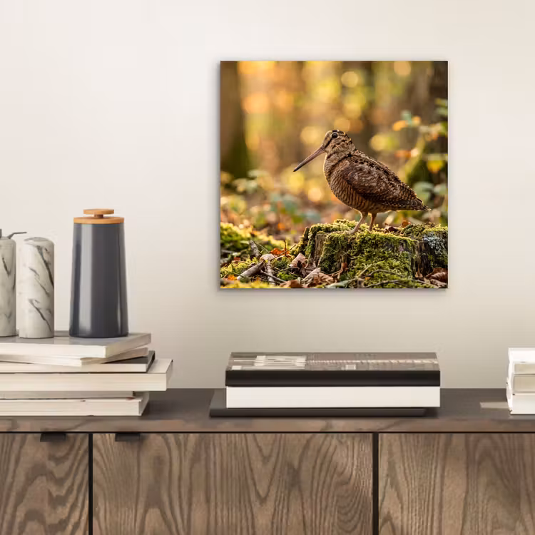 Aluminium schilderij - Houtsnip - Bos - Bladeren - Herfst - Gecamoufleerd — 2