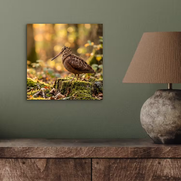 Aluminium schilderij - Houtsnip - Bos - Bladeren - Herfst - Gecamoufleerd — 3