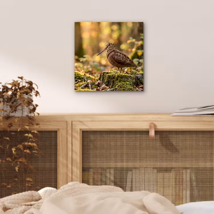 Aluminium schilderij - Houtsnip - Bos - Bladeren - Herfst - Gecamoufleerd — 4