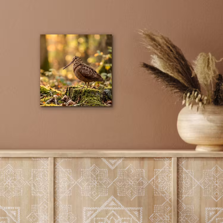 Aluminium schilderij - Houtsnip - Bos - Bladeren - Herfst - Gecamoufleerd — 5