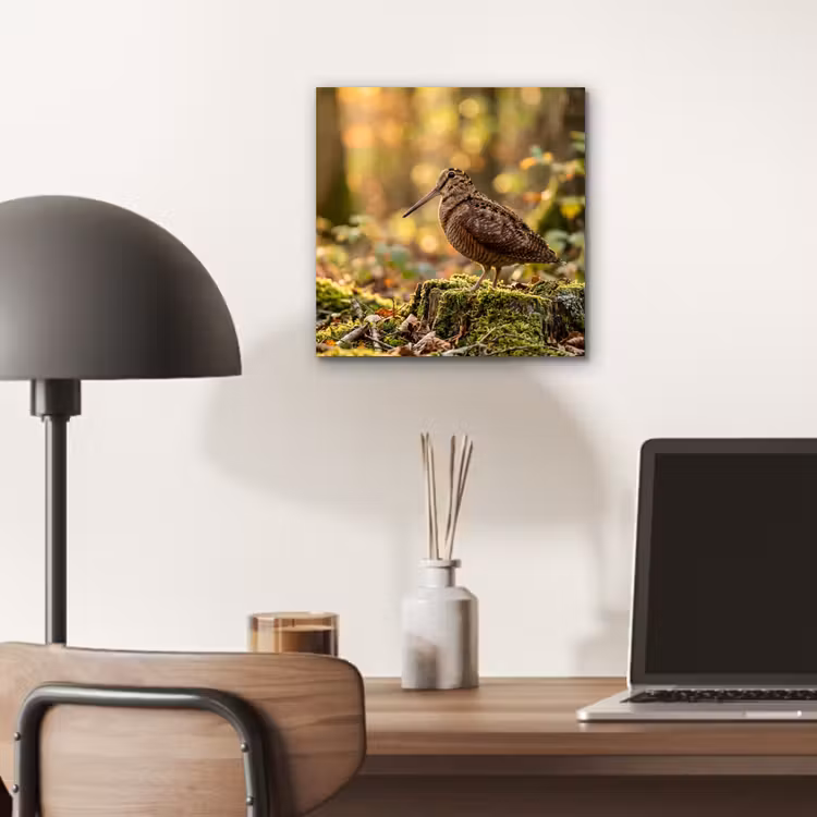 Aluminium schilderij - Houtsnip - Bos - Bladeren - Herfst - Gecamoufleerd — 6