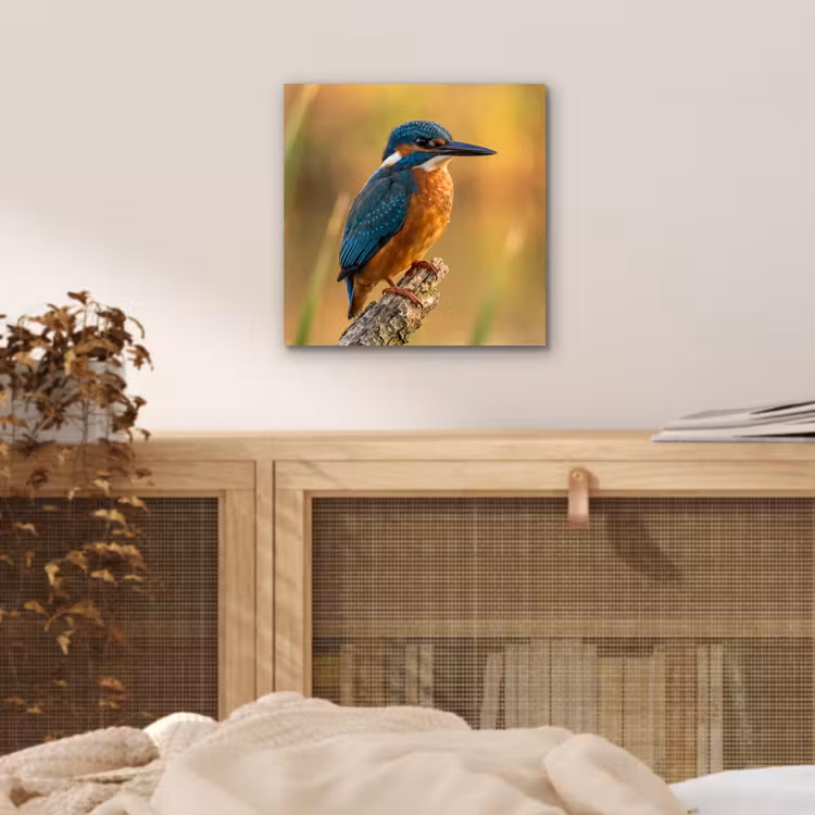 Aluminium schilderij - IJsvogel - Tak - Water - Kleurrijk - Levendig — 4