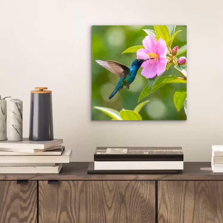 Aluminium schilderij - Kolibrie - Bloem - Natuur - Groen — 2