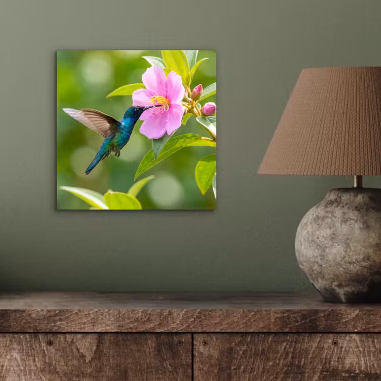 Aluminium schilderij - Kolibrie - Bloem - Natuur - Groen — 3
