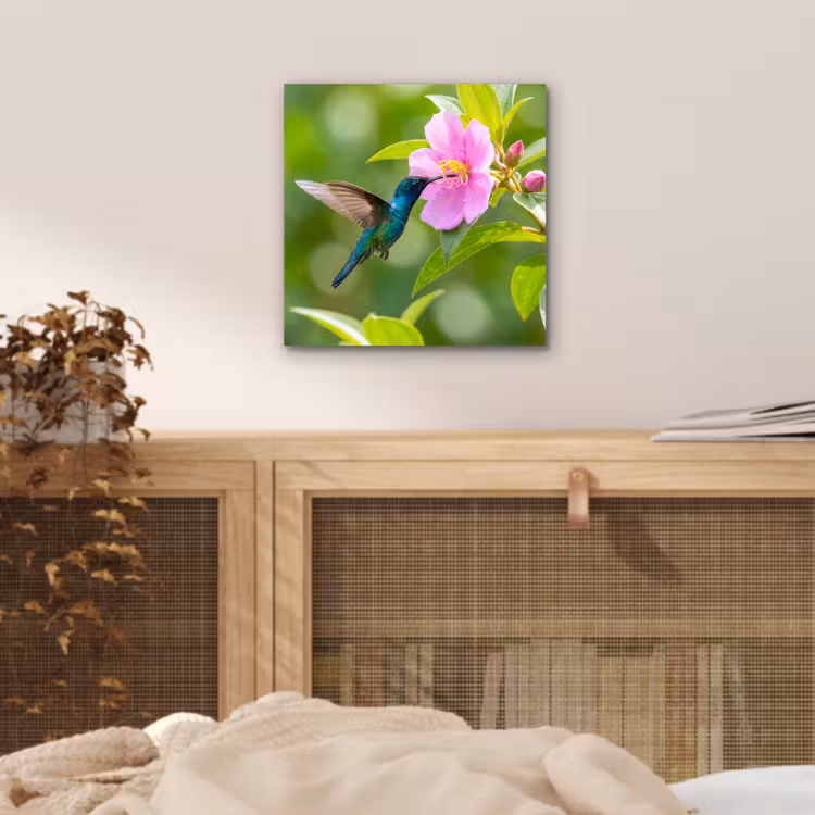 Aluminium schilderij - Kolibrie - Bloem - Natuur - Groen — 4