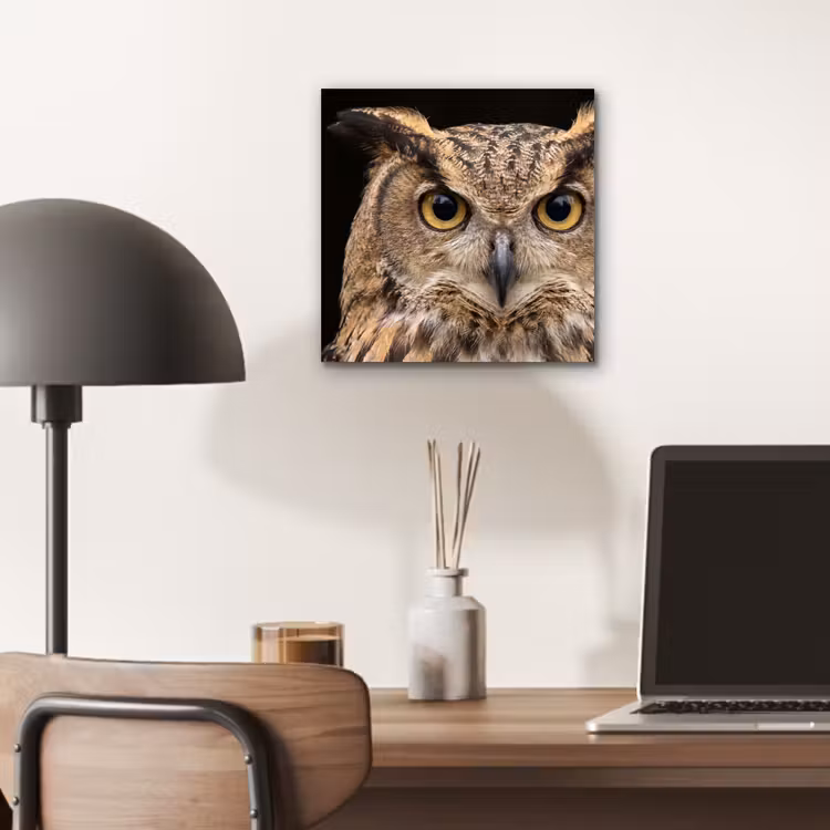 Aluminium schilderij - Oehoe - Uil - Portret - Bruin — 6
