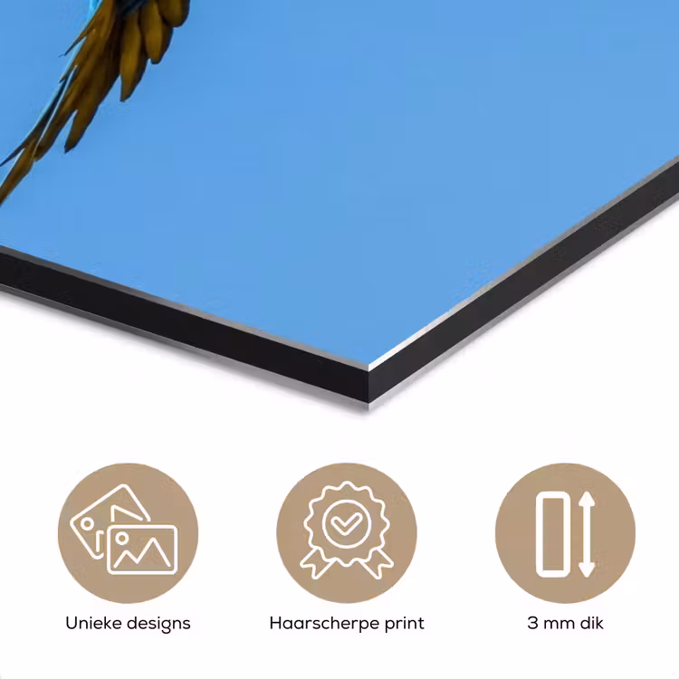 Aluminium schilderij - Papagaai - Vliegen - Blauw - Geel — 7