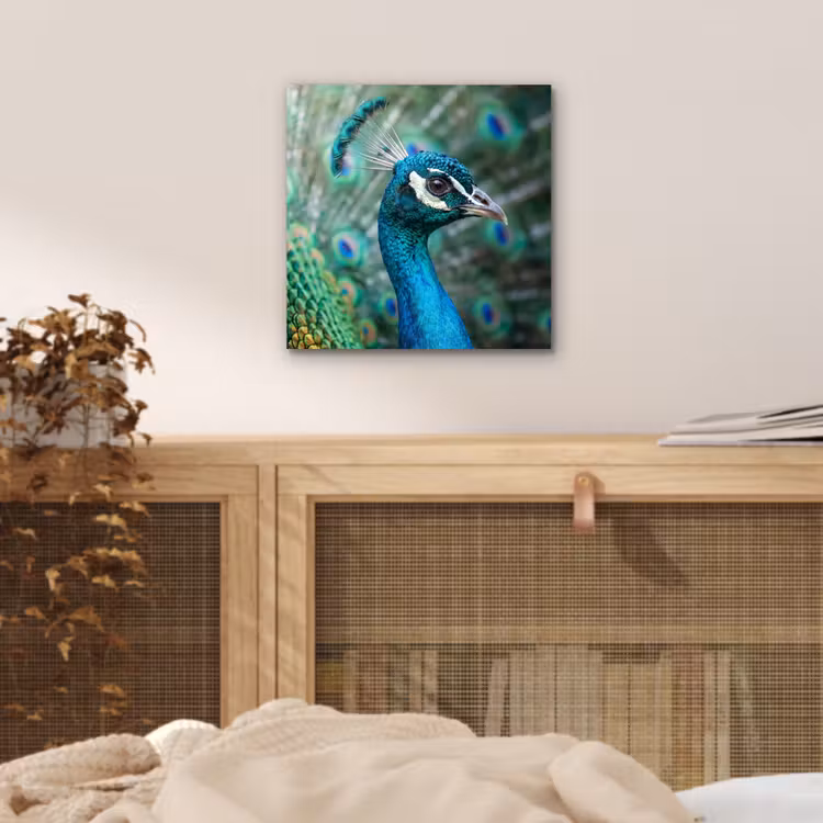 Aluminium schilderij - Pauw - Veren - Blauw — 4