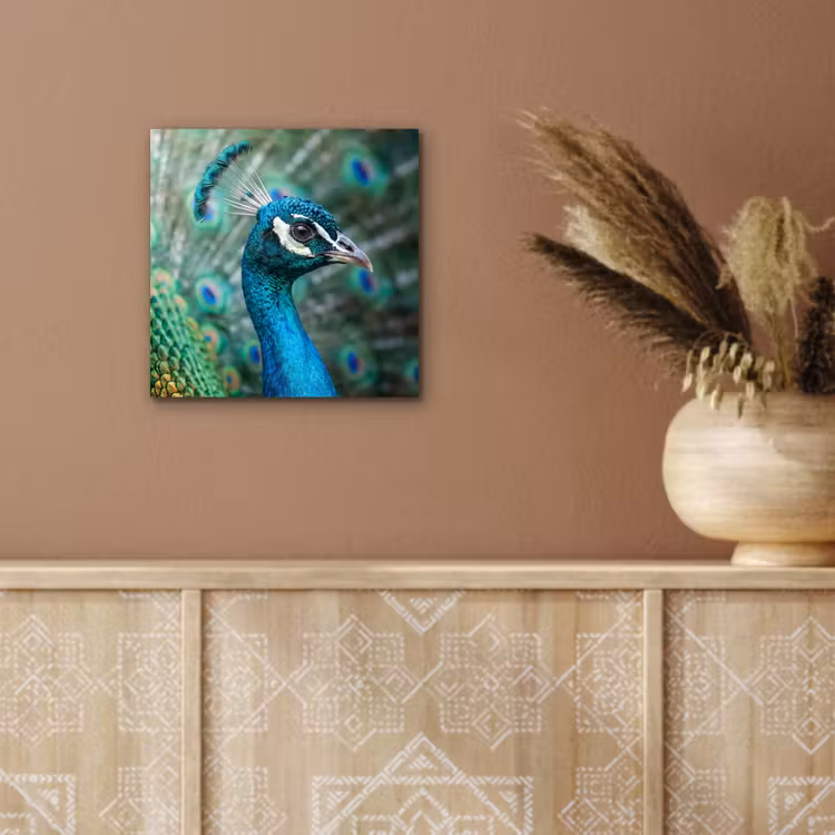 Aluminium schilderij - Pauw - Veren - Blauw — 5