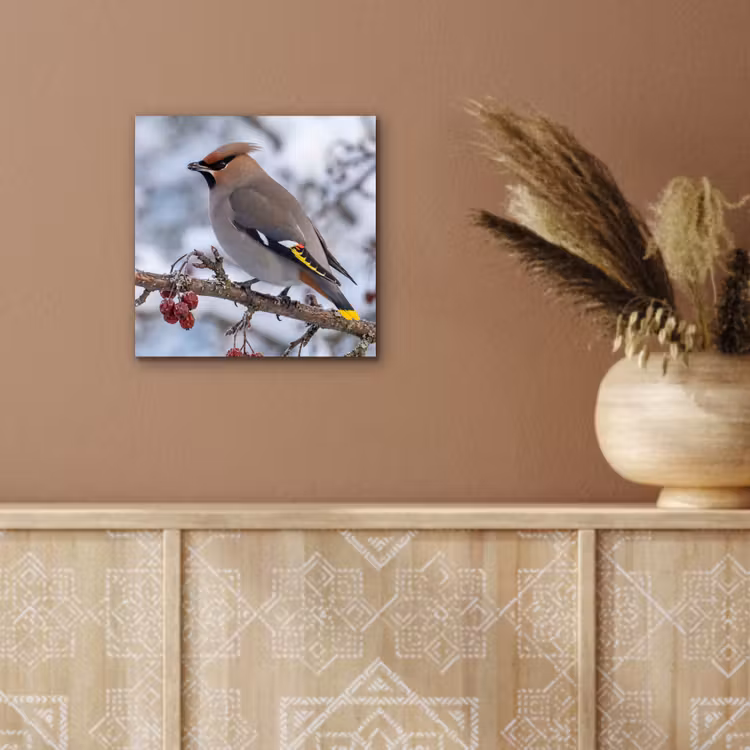Aluminium schilderij - Pestvogel - Bessen - Winter - Natuur — 5