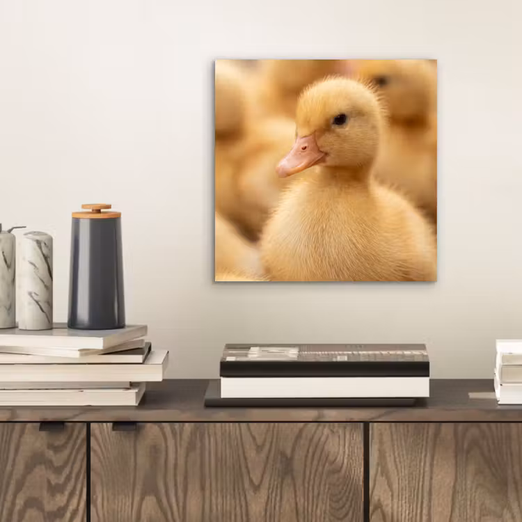 Aluminium schilderij - Pijltje - Eend - Natuur - Geel — 2