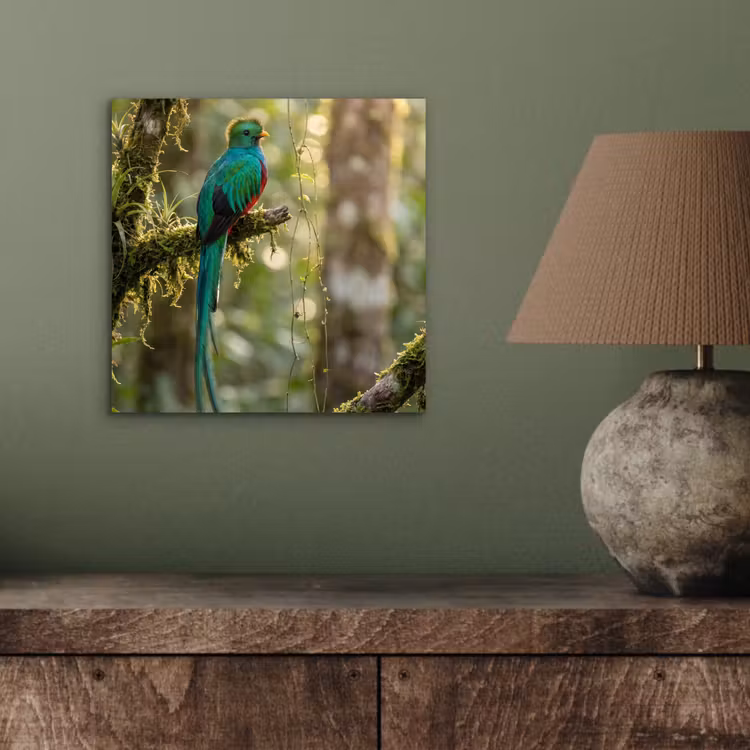 Aluminium schilderij - Quetzal - Jungle - Natuur - Groen — 3