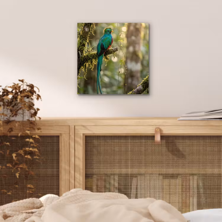 Aluminium schilderij - Quetzal - Jungle - Natuur - Groen — 4
