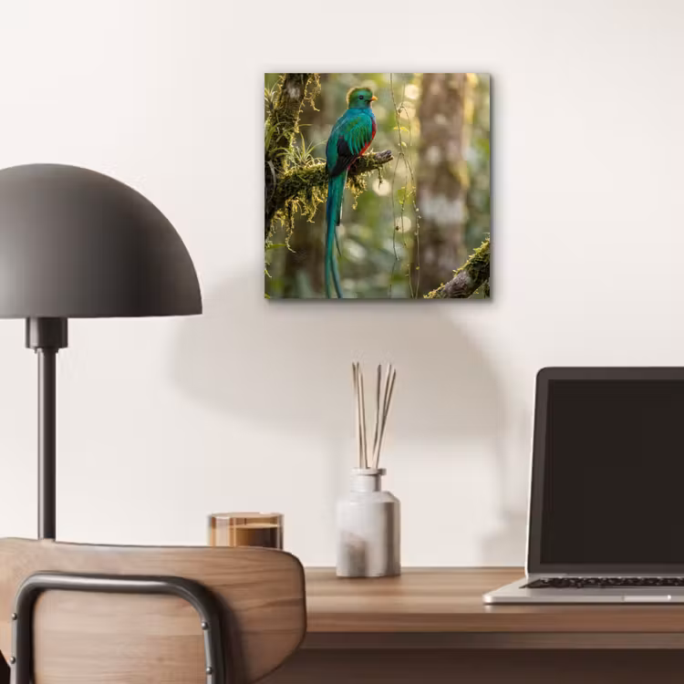 Aluminium schilderij - Quetzal - Jungle - Natuur - Groen — 6