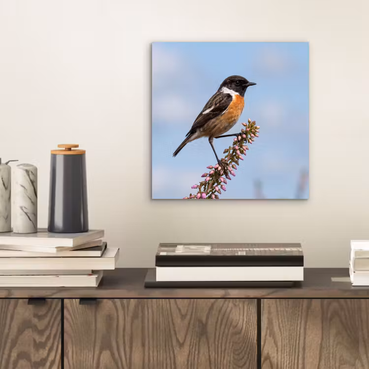Aluminium schilderij - Roodborsttapuit - Heide - Paars - Natuur - Sfeervol — 2