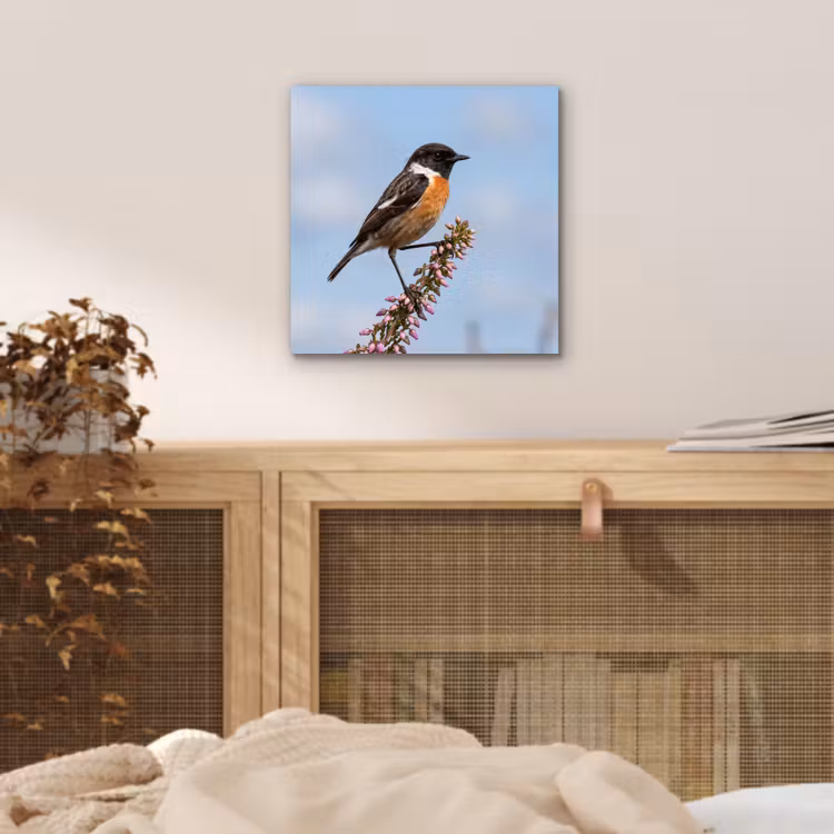 Aluminium schilderij - Roodborsttapuit - Heide - Paars - Natuur - Sfeervol — 4