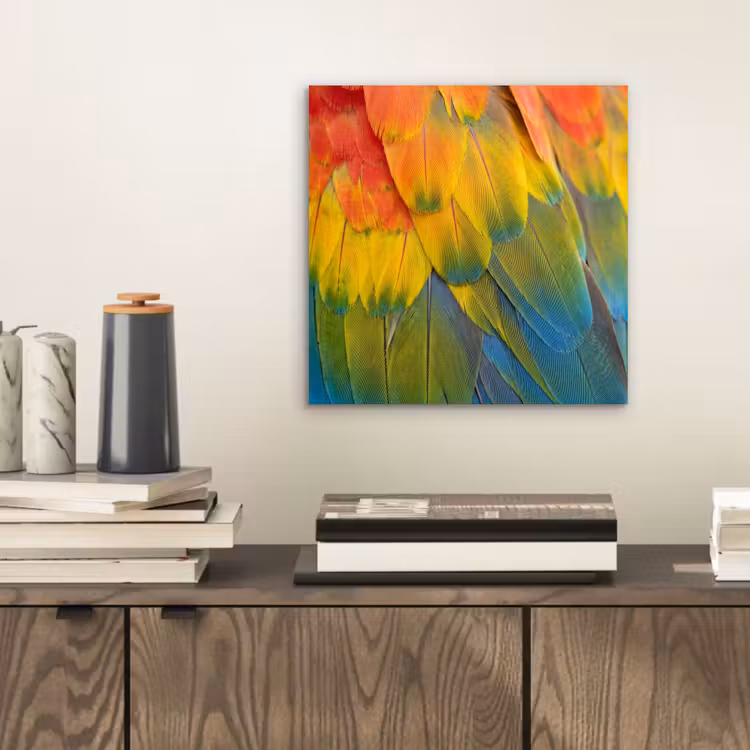 Aluminium schilderij - Veren - Ara - Kleurrijk — 2