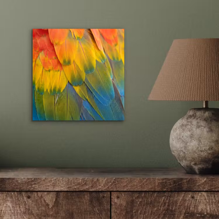 Aluminium schilderij - Veren - Ara - Kleurrijk — 3