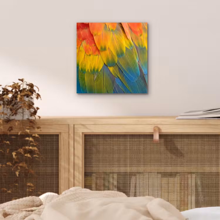 Aluminium schilderij - Veren - Ara - Kleurrijk — 4