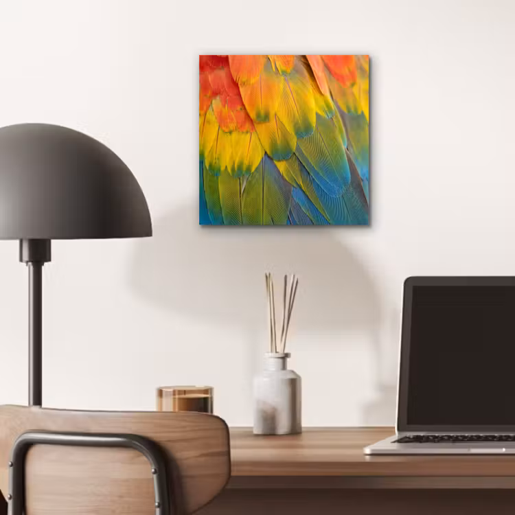 Aluminium schilderij - Veren - Ara - Kleurrijk — 6