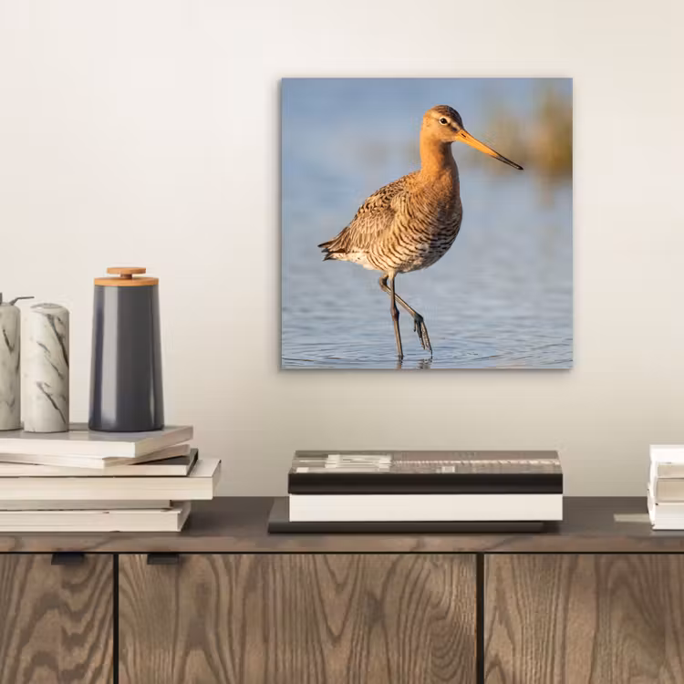Aluminium schilderij - Vogel - Steltloper - Water - Natuur — 2