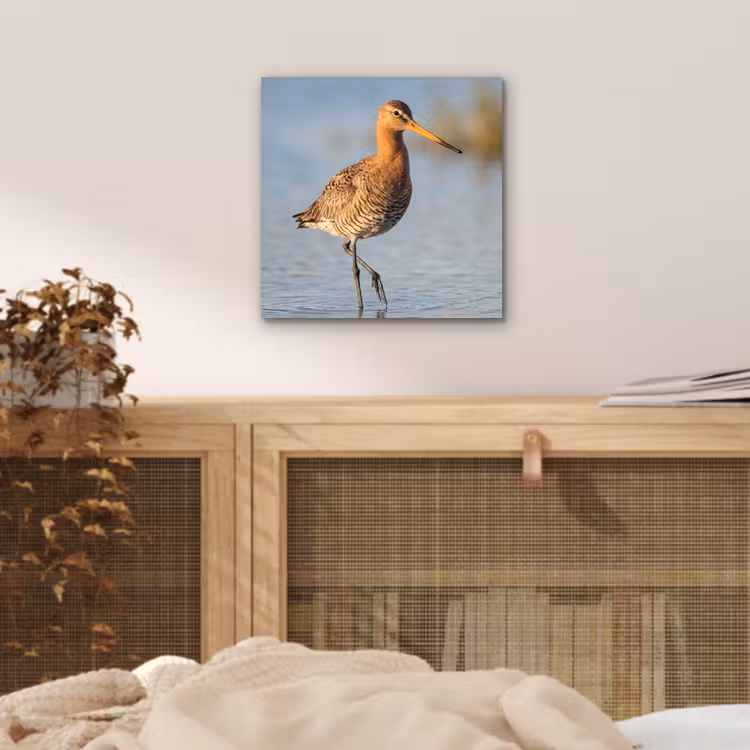 Aluminium schilderij - Vogel - Steltloper - Water - Natuur — 4