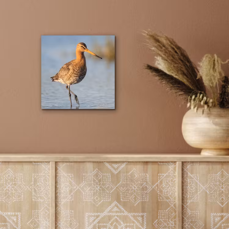 Aluminium schilderij - Vogel - Steltloper - Water - Natuur — 5