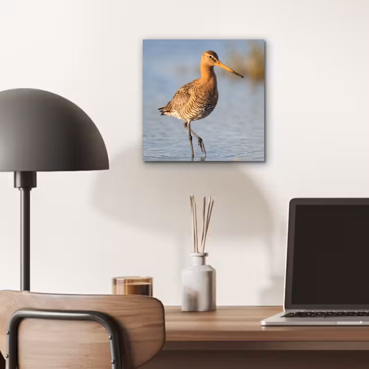 Aluminium schilderij - Vogel - Steltloper - Water - Natuur — 6