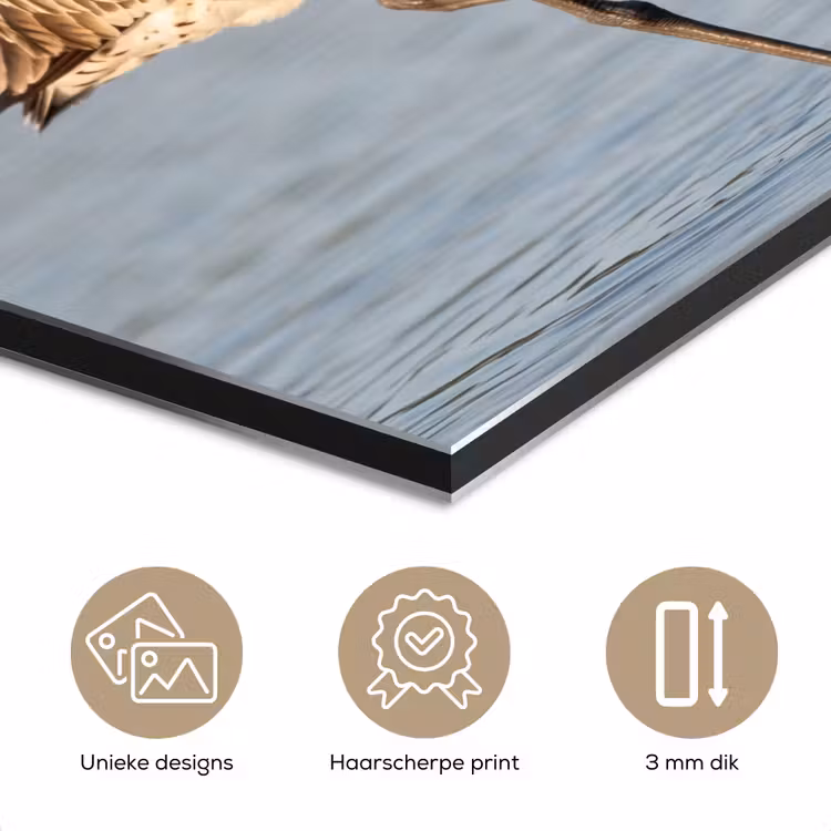 Aluminium schilderij - Vogel - Steltloper - Water - Natuur — 7