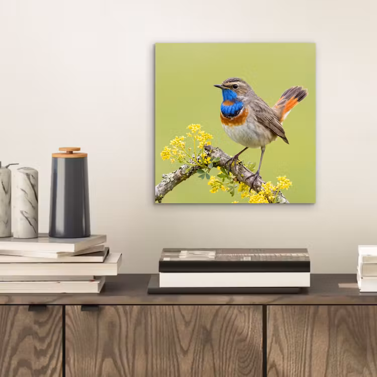 Aluminium schilderij - Vogel - Tak - Natuur - Kleurrijk — 2