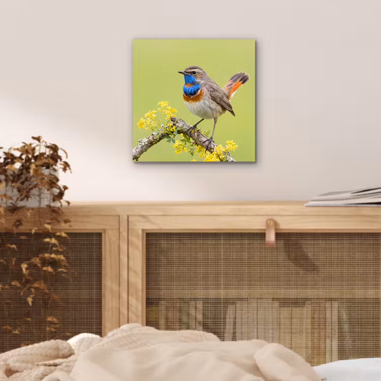 Aluminium schilderij - Vogel - Tak - Natuur - Kleurrijk — 4