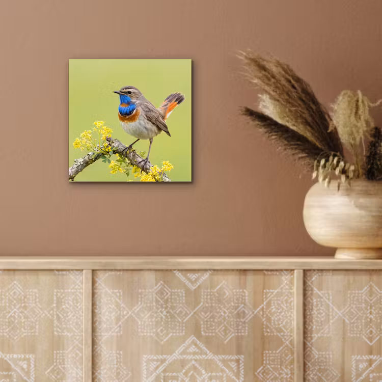 Aluminium schilderij - Vogel - Tak - Natuur - Kleurrijk — 5