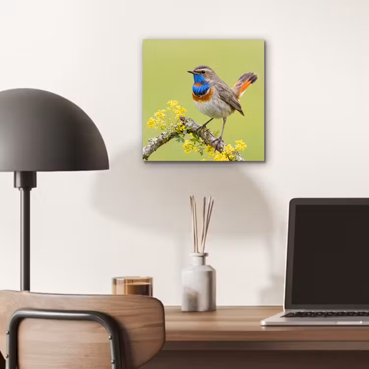 Aluminium schilderij - Vogel - Tak - Natuur - Kleurrijk — 6