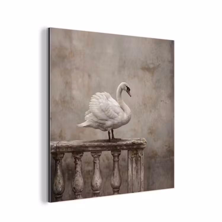 Aluminium schilderij - Zwaan - Elegant - Dieren - Wit — 1