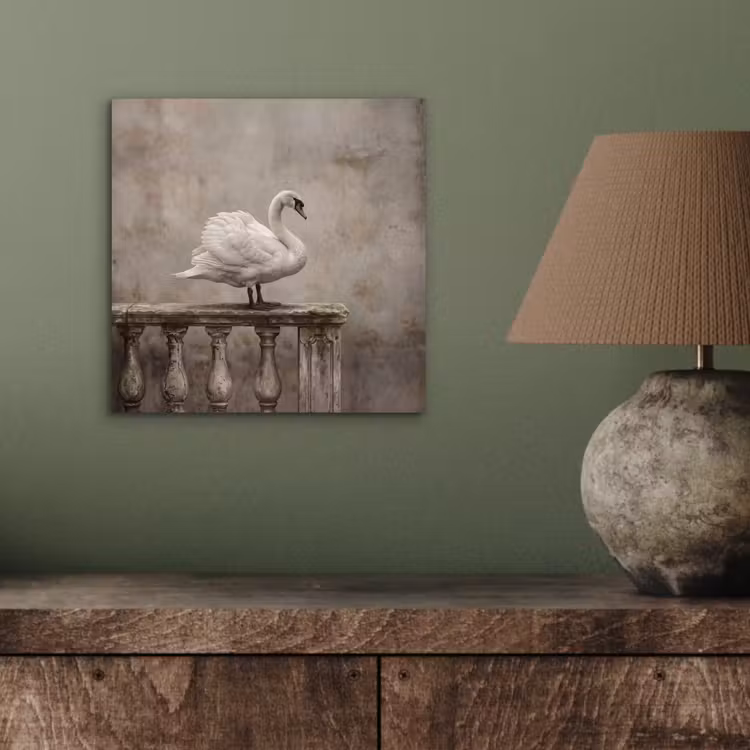Aluminium schilderij - Zwaan - Elegant - Dieren - Wit — 3