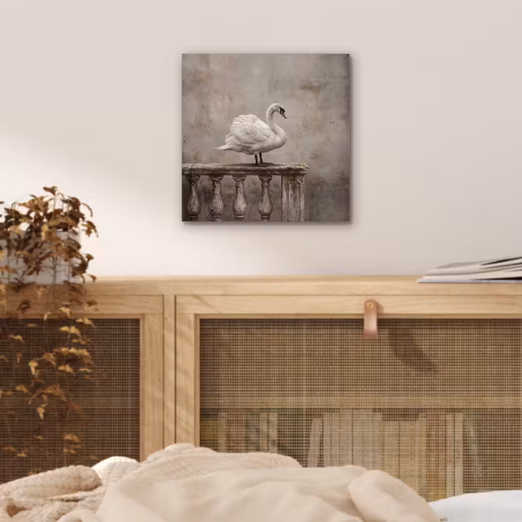 Aluminium schilderij - Zwaan - Elegant - Dieren - Wit — 4