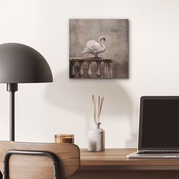 Aluminium schilderij - Zwaan - Elegant - Dieren - Wit — 6