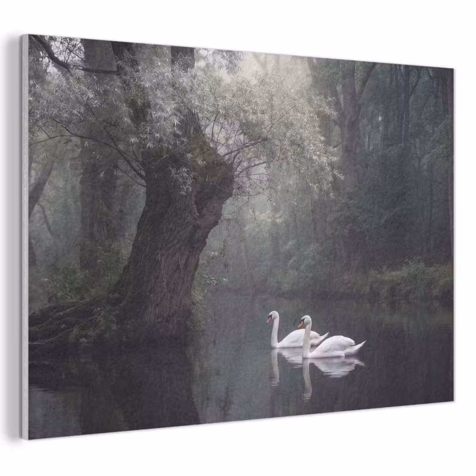 Akoestisch schilderij - Zwanen - Rivier - Bos — 1
