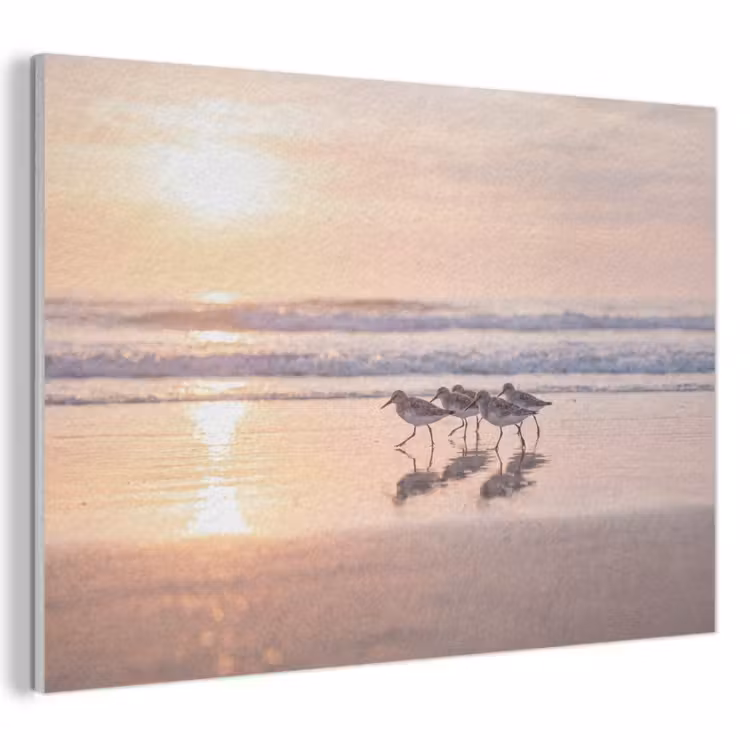 Akoestisch schilderij - Zee - Vogels - Strand — 1