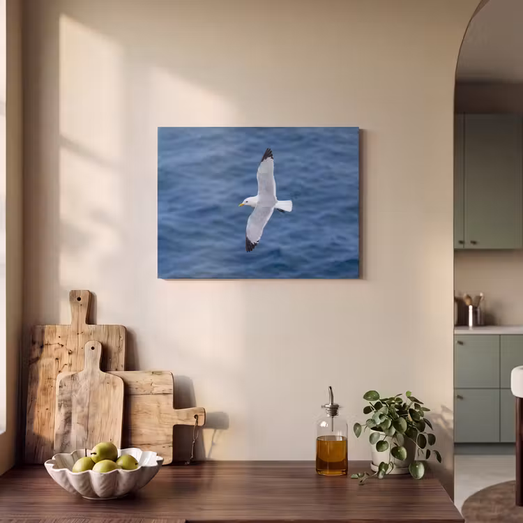 Akoestisch schilderij - Zeemeeuw - Oceaan - Blauw — 3