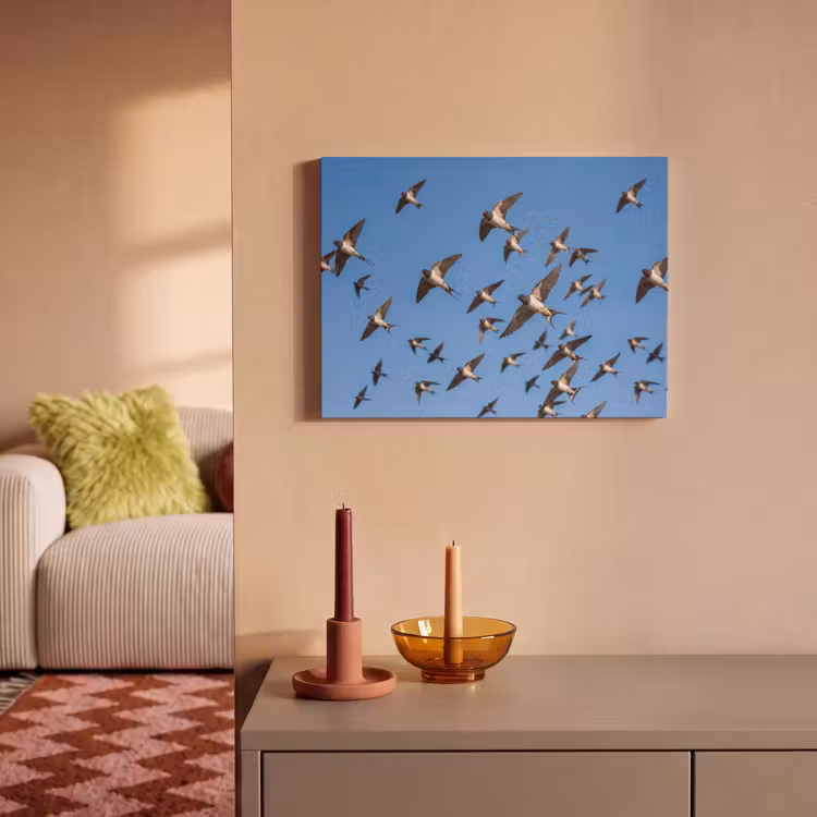 Akoestisch schilderij - Zwaluwen - Vliegen - Blauw — 2