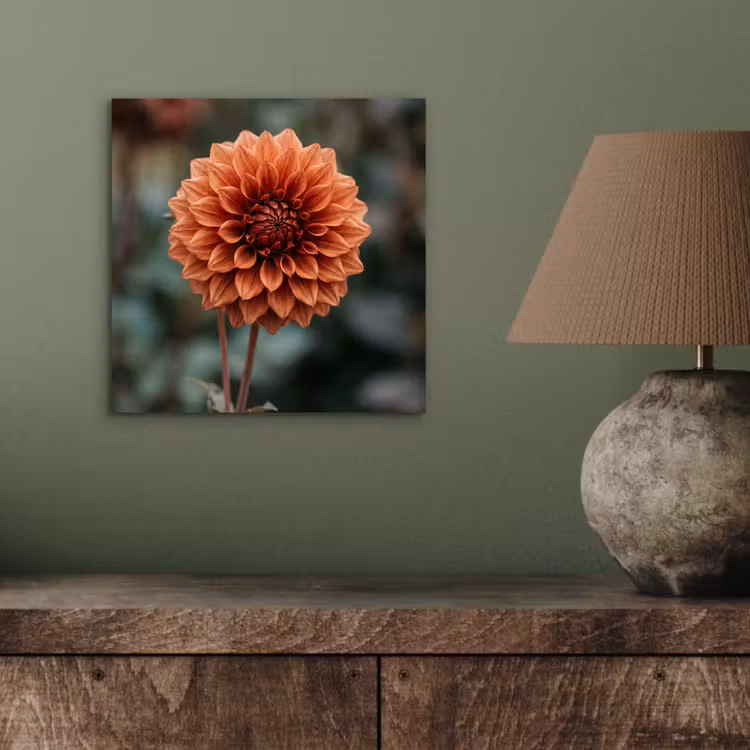 Aluminium schilderij - Dahlia - Bloem - Natuur - Sfeervol — 3