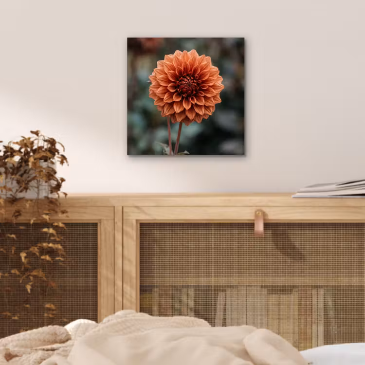 Aluminium schilderij - Dahlia - Bloem - Natuur - Sfeervol — 4